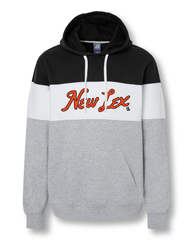 NEW LEX Colorblock Hoodie