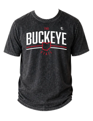 Ohio Arch Acid Wash Tee