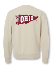 Ohio Pennant Crewneck Sweatshirt