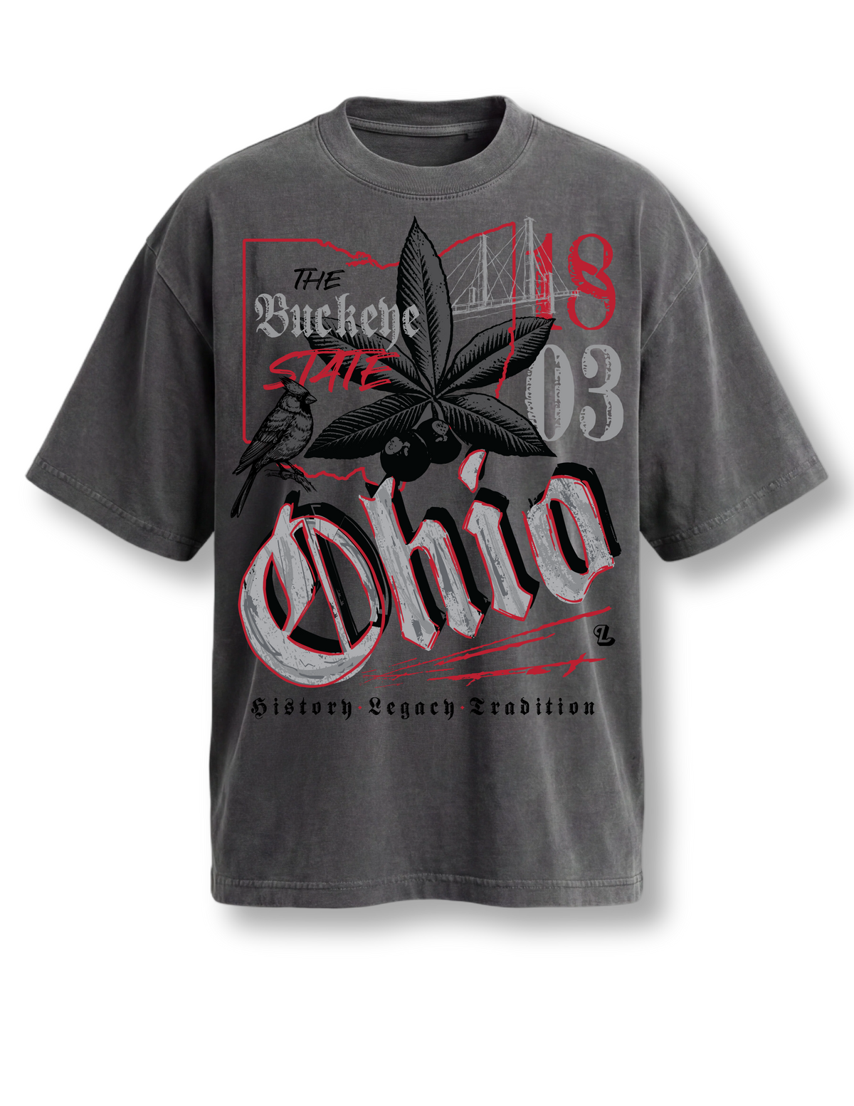 Streetwear Oversized Print Ohio Tee